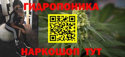 jwh Партизанск
