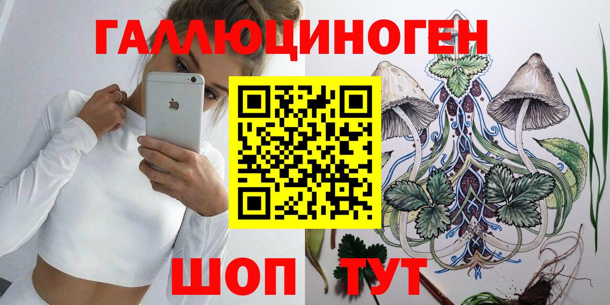 Солнечногорск  Псилоцибиновые грибы MAGIC MUSHROOMS  Псилоцибиновые грибы Psilocybine cubensis  Вход с VPN 